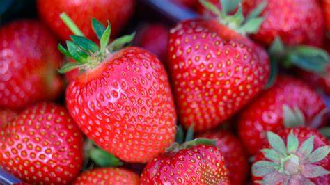 Erdbeeren als Superfood, Nährstoffübersicht
