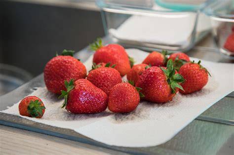 Erdbeeren auf Papiertuch zum Trocknen