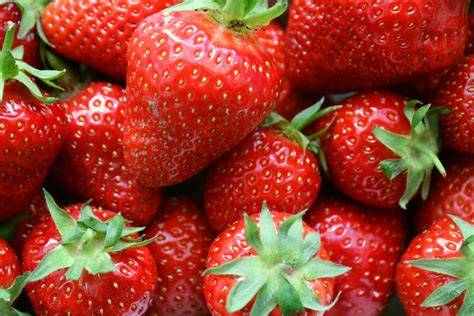 Erdbeeren frisch vom Feld