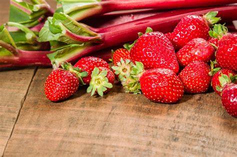 Erdbeeren und Rhabarber frisch geerntet