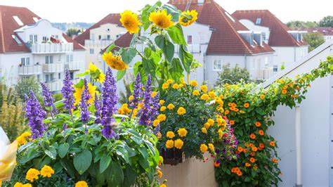 Erfrischendes Eis als Sommergenuss auf dem Balkon