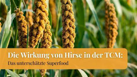 Ernährungsprofil von Hirse - Diagramm
