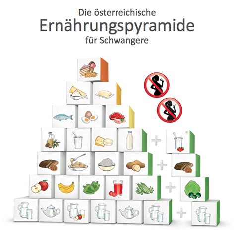 Ernährungspyramide für Schwangere