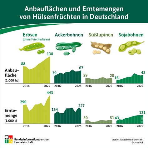 Erntemengen und Preistrends Honig Deutschland
