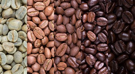 Espressobohnen und Kaffeepflanze