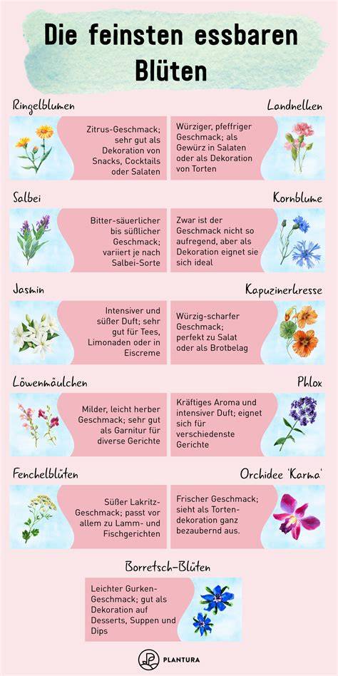 Essbare Blüten: Auswahl und Verwendung in der Küche