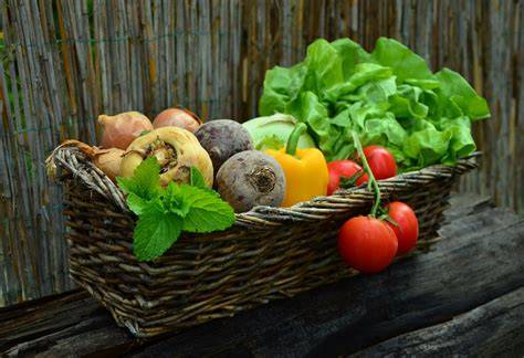 Ethik der veganen Ernährung