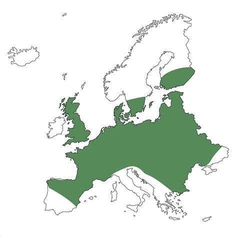 Europäische Trüffelregionen und Verbreitung