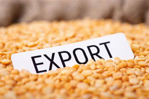 Export von Lebensmitteln (Schokolade) - wichtige Dokumente im Überblick