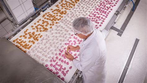 Exportwege von Lebkuchen aus Neu-Ulm in die Welt