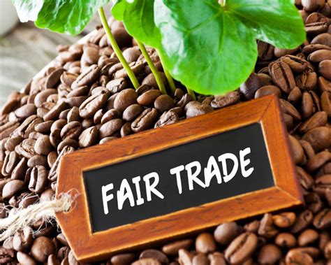 Fairer Handel und Umweltethik