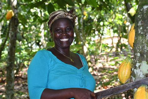 Fairtrade-zertifizierte Kakaokooperative