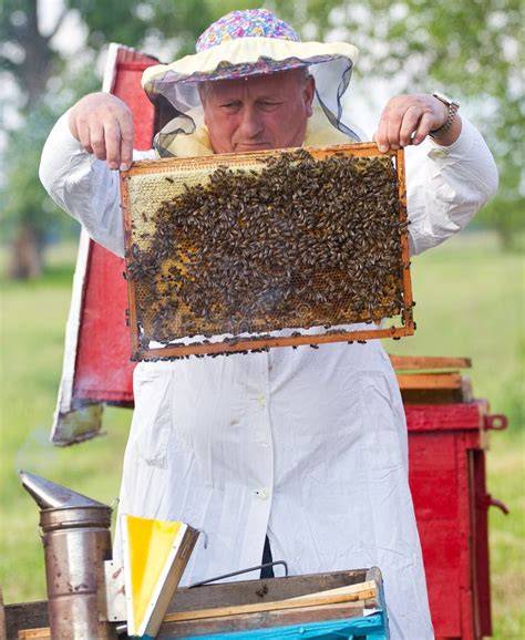 Familie bei der Arbeit im Bienenstand