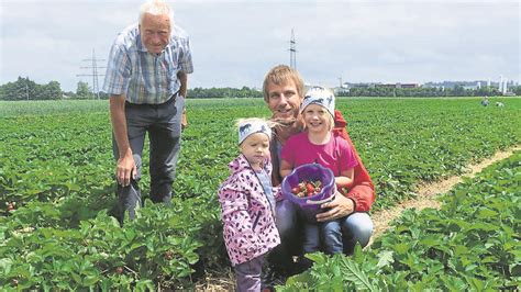 Familie beim Erdbeerpflücken und Marmeladekochen