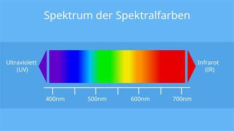 Farbspektrum der Wildeiche
