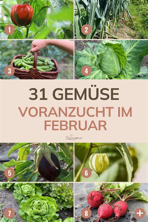 Februar Wintergemuese Marktstand