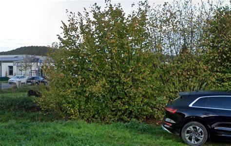 Fertige Schokoladen-Kopfhörer aus der Form gelöst