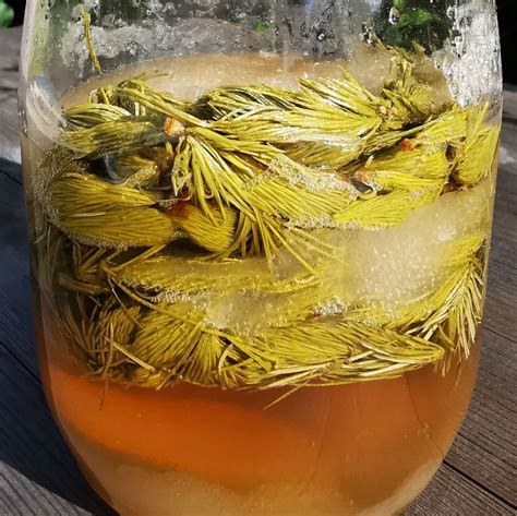 Fichtenspitzen und Schichtenbildung im Glas