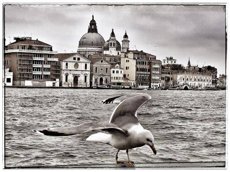 Filmende und emotionale Schlüsselszenen: Venedig, Abschied, Familienglück