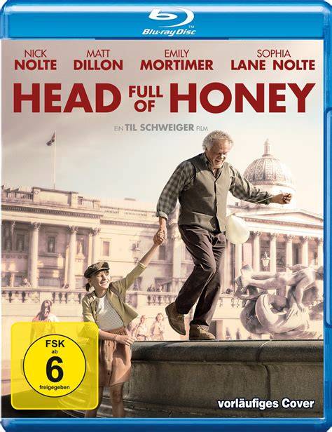 Finanzierung und Förderstruktur Head Full of Honey