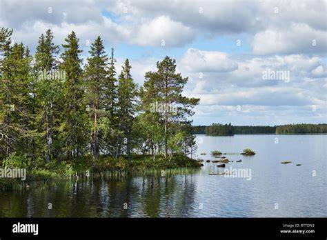 Finnische Landschaft mit Bienenstöcken in Lappi