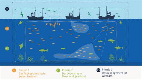 Fischerei und nachhaltige Nutzung der Piranhas