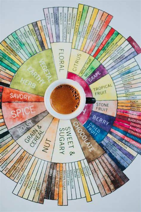 Flavour Wheel für Kaffeearomen