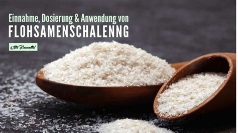 Flohsamenschalen und Kuchen: Zusammensetzung und Anwendung