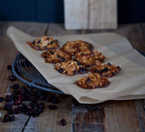 Florentiner mit Schokoladenglasur, Cranberries und Orangenzesten, Serviervorschläge