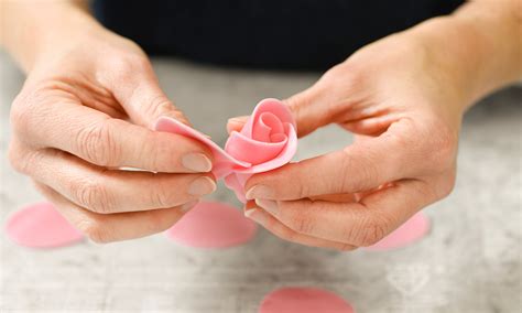 Fondant Rosen Utensilien und Werkzeug