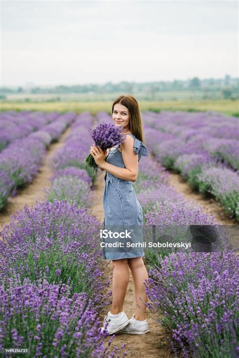 Foto von frischem Lavendel auf einem Lavendelfeld