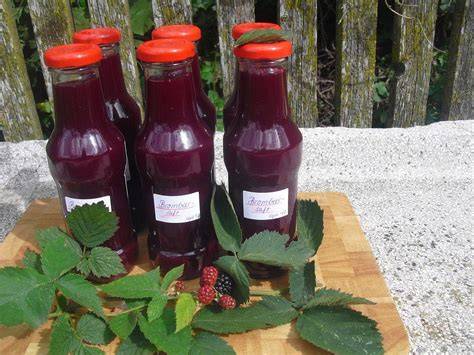 Foto-Serie: Waschen, Zerdrücken, Kochen, Filtern, Abfüllen von Brombeersaft