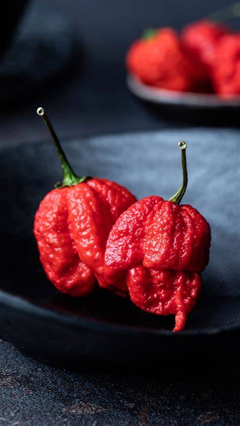 Fotografie von Carolina Reaper Chili und Kakaobohnen