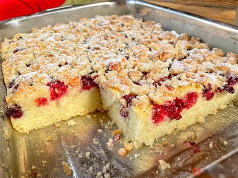 Frühlingskuchen-Vielfalt: Bildergalerie saisonaler Rezepte
