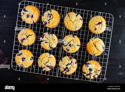 Frisch gebackene Blaubeermuffins auf einem Küchengitter