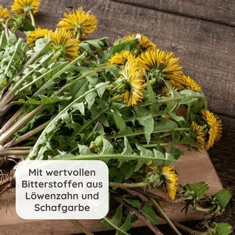 Frisch gesammelte Löwenzahnblüten und Bio-Orangen auf Holzbrett