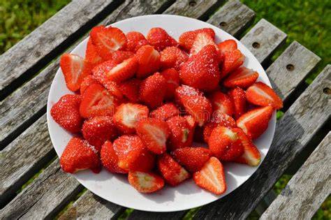 Frisch geschnittene Erdbeeren auf Grießfüllung verteilt