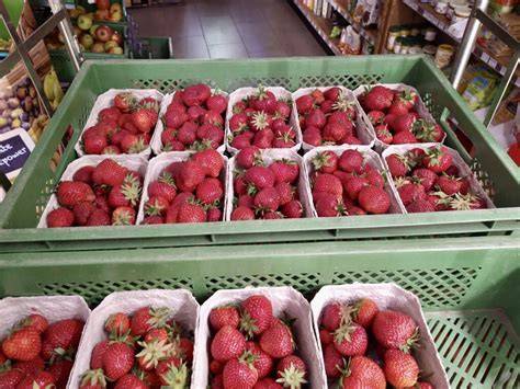 Frische Erdbeeren im Hofladen