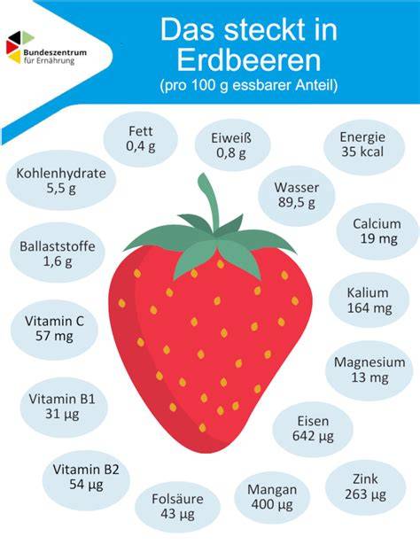 Frische Erdbeeren und Vitamine in der Frucht