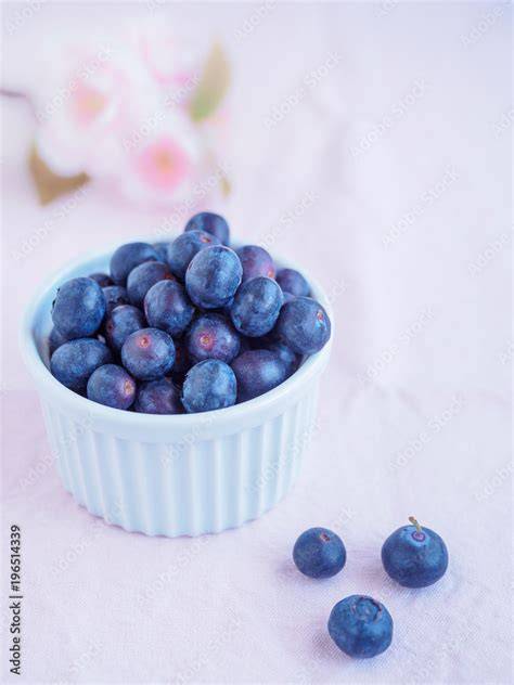 Frische Heidelbeeren in Schale