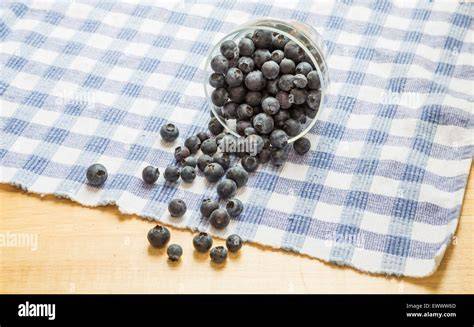 Frische Heidelbeeren und Sahne in einer Glasschale
