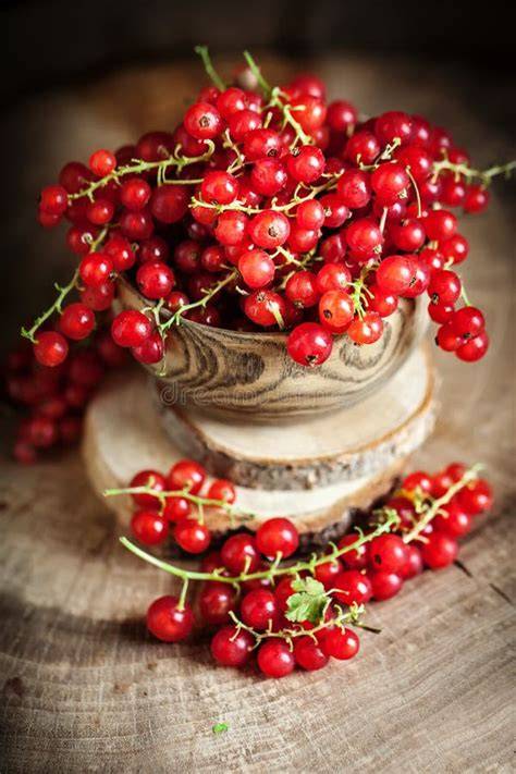 Frische Johannisbeeren und fertiger Quarkkuchen auf rustikalem Holztisch