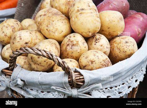Frische Klaräpfel im Korb mit Messer und Schneidebrett