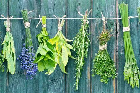 Frische Kräuter und Toppings für Nudelauflauf
