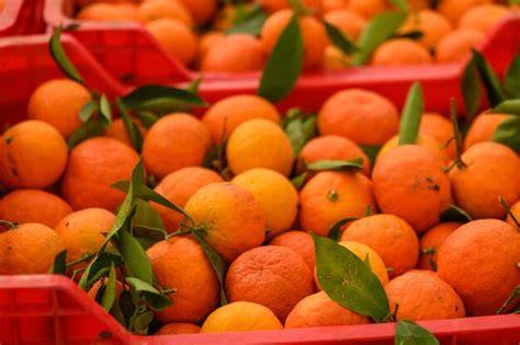 Frische Mandarinen im Obstkorb
