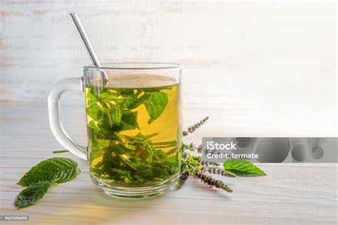 Frische Pfefferminzblätter im Teeglas