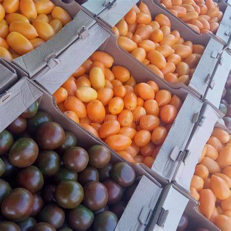 Frische Tomaten auf dem Markt