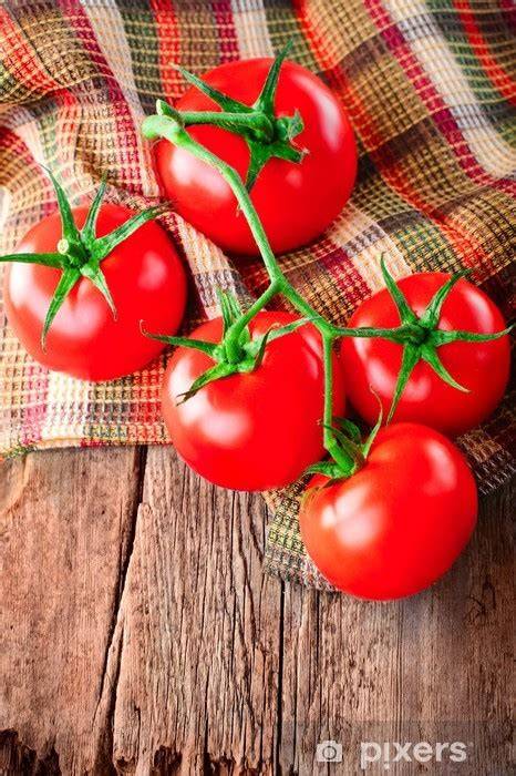 Frische Tomaten und Gewürze auf Holzbrett