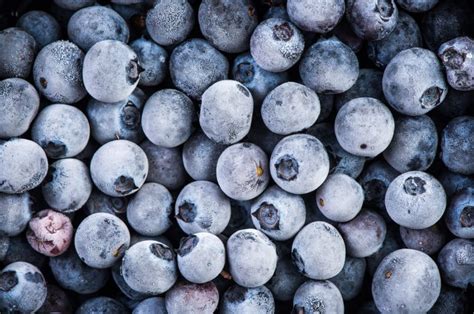 Frische und gefrorene Blaubeeren