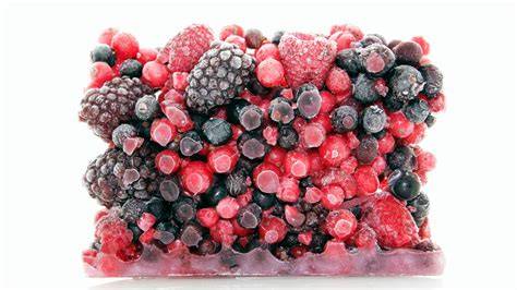 Frische und tiefgekühlte Beeren vorbereitet zum Pürieren